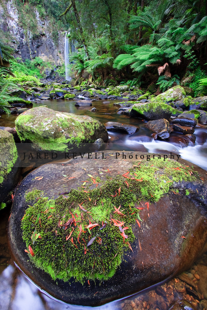 Hopetoun Falls, Otways
