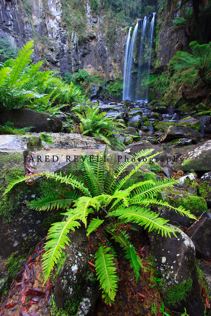 Hopetoun Falls, Otways