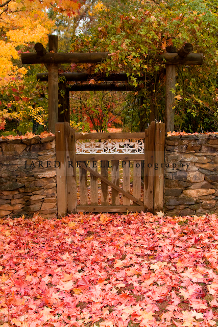 Autumn Gate