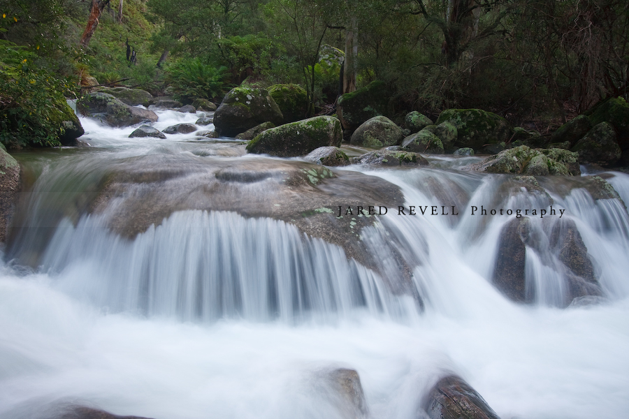 Eurobin Creek (downstream from Eurobin Falls)