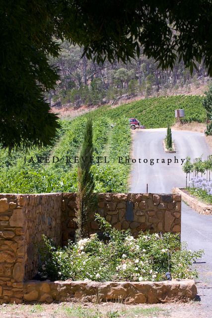 Feathertop Winery