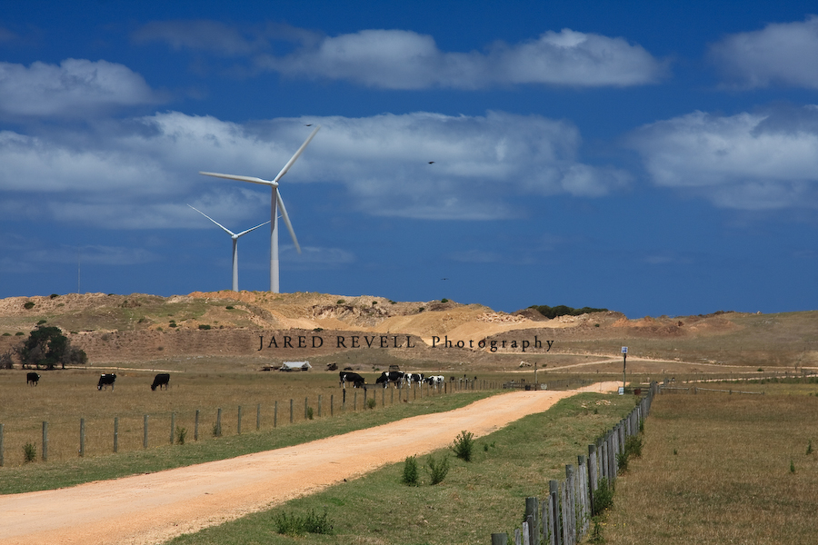 Windfarm - Condrington